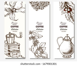 Coffee illustration. Hand drawn vector banner. Coffee beans, flower, branch. 