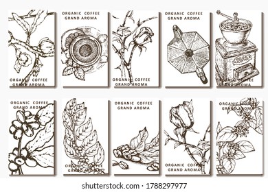 Coffee illustration. Hand drawn vector banner. Coffee maker, beans, flower, branch, tea