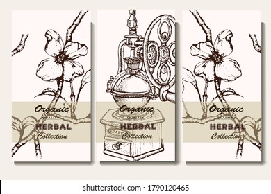 Coffee illustration. Hand drawn vector banner. Coffee maker, flower, branch. 