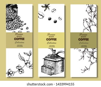 Coffee illustration on label packaging design. Hand drawn vector banner. Coffee beans, leaves, branch, flowers, bird