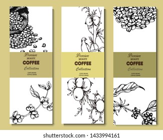 Coffee illustration on label packaging design. Hand drawn vector banner. Coffee beans, leaves, branch, flowers, bird