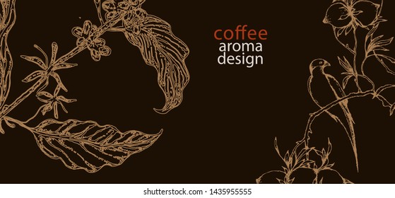 Coffee illustration on label packaging design. Hand drawn vector banner. Coffee beans, leaves, branch, flowers, bird