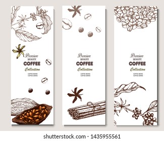 Coffee illustration on label packaging design. Hand drawn vector banner. Coffee beans, leaves, branch, flowers, cinnamon
