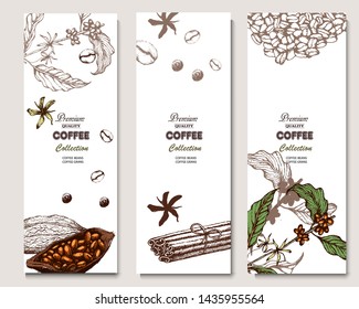 Coffee illustration on label packaging design. Hand drawn vector banner. Coffee beans, leaves, branch, flowers, cinnamon