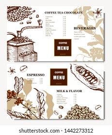 Coffee illustration on label packaging design. Hand drawn vector banner. Coffee beans, leaves, branch, flowers. Menu for the restaurant