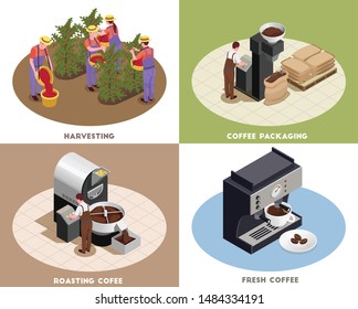 Coffee industry production concept 4 isometric icons square with harvesting roasting packaging fresh brewed drink vector illustration 