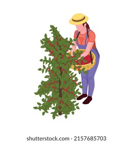 Coffee industry production isometric composition with isolated image on blank background vector illustration