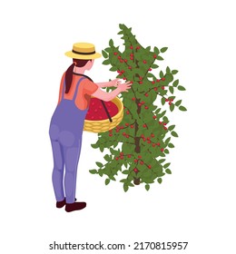 Coffee industry production isometric composition with isolated image on blank background vector illustration