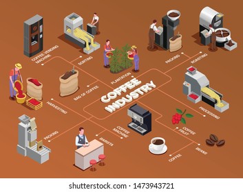 Coffee industry production isometric flowchart with fruits harvesting processing roasting grinding serving freshly brewed beverage vector illustration 