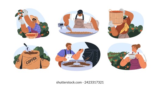 Coffee industry, production process set. Workers cultivating, picking berries on plantation, collected beans in sacks, grinder machine at factory. Flat vector illustration isolated on white background