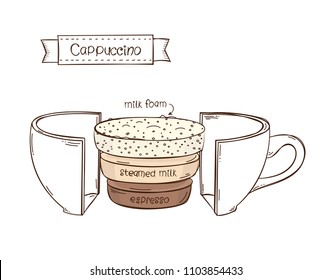 Coffee Infographic of cappuccino in a cut