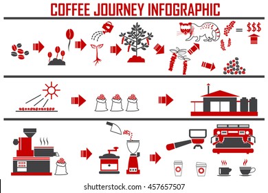 Coffee infographic flat vector illustration. Preparation coffee beans.