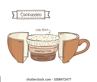Coffee infographics of cappuccino in a cut