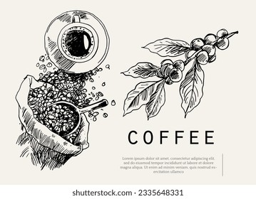 coffee of ink drawing sketch for banner, poster, packaging, label. vintage coffee of art hand draw. banner coffee of ink drawing for promotion. art print coffee