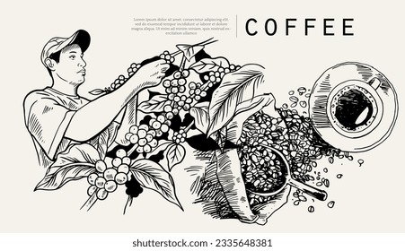 coffee of ink drawing sketch for banner, poster, packaging, label. vintage coffee of art hand draw. banner coffee of ink drawing for promotion. art print coffee