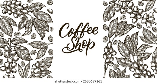 Coffee label design template. Vector sketch vintage illustration. Roasted coffee beans package with hand drawn calligraphic lettering. Plant branches on white background