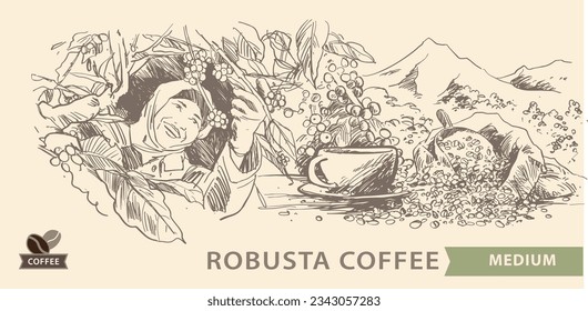 etiqueta de café del dibujo de boceto de tinta para embalaje, afiche, pancarta, marca, folleto, cubierta, pegatina, impresión de arte, fondo, publicidad, menú, vintage. montaña arabica robusta de selección de café 