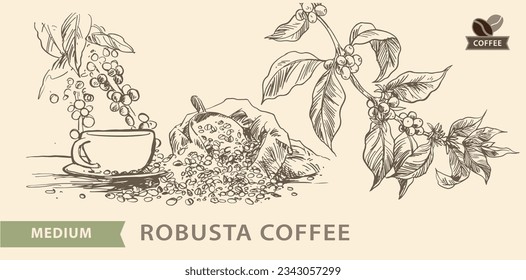 coffee label of ink sketch drawing for packaging, poster, banner, branding, brochure, cover, sticker, art print, background, advertising, menu, vintage. arabica robusta coffee picker mountain 