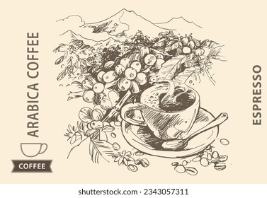 coffee label of ink sketch drawing for packaging, poster, banner, branding, brochure, cover, sticker, art print, background, advertising, menu, vintage. arabica robusta coffee picker mountain 