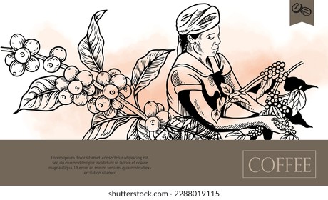 embalaje de la etiqueta del café. pancarta de café del dibujo de tinta. fondo de café para publicidad promocional