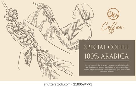coffee label packaging of sketch on paper. coffee vintage label packaging, banner, poster, brochure, and book. coffee vector