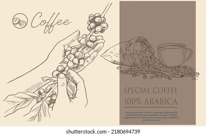 coffee label packaging of sticker paper vintage. coffee vintage for packaging design, banner, promotion media, poster, and brochure. art print coffee vector