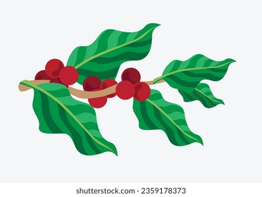 coffee label packaging of vector illustration full colour for banner, card, poster, advertising, background, brochure, art print
