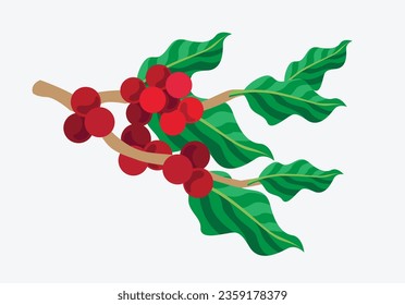 coffee label packaging of vector illustration full colour for banner, card, poster, advertising, background, brochure, art print