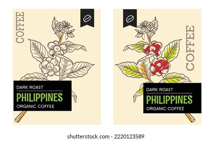 coffee label packaging of watercolor painting. ink drawing of coffee plant. coffee of sketch for banner promotion. coffee vector for design and printing.