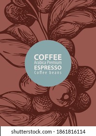 Coffee label in retro style. Vector label for coffee beans with hand-drawn coffee twig, coffee berries and the inscriptions Arabica premium, Espresso on a brown background