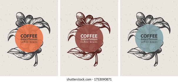 Coffee labels in retro style. Set of three vector labels for coffee beans with hand-drawn coffee sprig, coffee beans on an old paper background