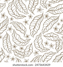 coffee leaf background. Abstract coffee leaves background. leaf pattern vintage. leaves pattern wallpaper.