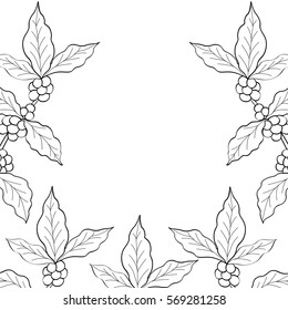 coffee leaf, bean hand drawn template,  sketch illustration, frame
