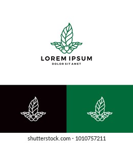 coffee leaf berry fruit logo vector template download