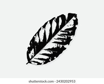 Coffee leaf engraving vector illustration. Scratch board style imitation. Black and white hand drawn image. llustrations for poster, background or card.