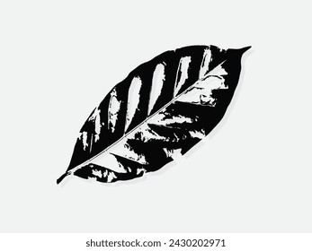 Vektor-Illustration der Kaffeeblattgravur. Imitation des Scratch Board-Stils Schwarz-weiß handgezeichnetes Bild. Abbildungen für Poster, Hintergrund oder Karte.