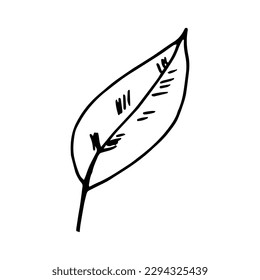 hoja de café dibujada al estilo doodle. , pegatina, elemento decorativo. 