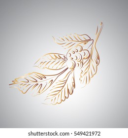 Coffee leaf, hand, drown, vector