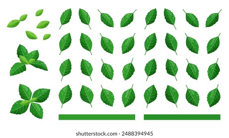 Conjunto de material de ilustración de hoja de café
