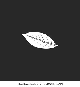 Coffee leaf sign simple icon on background