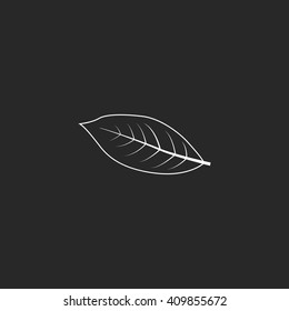 Coffee leaf sign simple icon on background