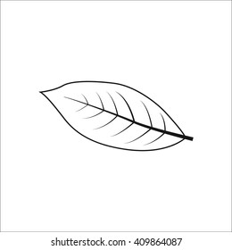 Coffee leaf sign simple icon on background