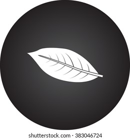 Coffee leaf simple icon  on round background