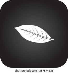 Coffee leaf simple icon  on square  background