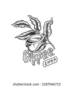 Coffee with leaves logo. Vintage element for the shop menu. Vector illustration. Design decoration collection for badge. Calligraphy style for frames, labels. Engraved hand drawn in old sketch.