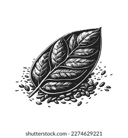 Coffee leaves in coffee seed engraving. Surrealistic art vector illustration.