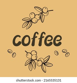Coffee - lettering, inscription, coffee tree branch, leaves, grains. Simple black line outline, typography, logo. Natural cafe concept. Design elements for advertising poster, template, coffee shop