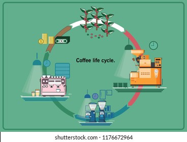 Coffee life Cycle vector Design