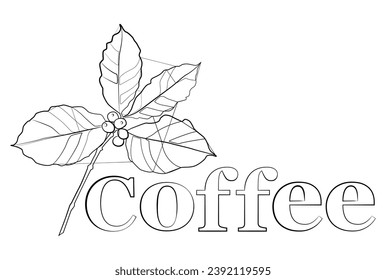 Coffee line. A continuous drawing in one line of a hand holding a coffee cup with the inscription "Coffee". Template for printing, postcards, menus, posters. Sketch, linear drawing.