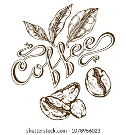 coffee logo drawn by hand in retro style, coffee grains, leaves, letering, vector illustration, white background